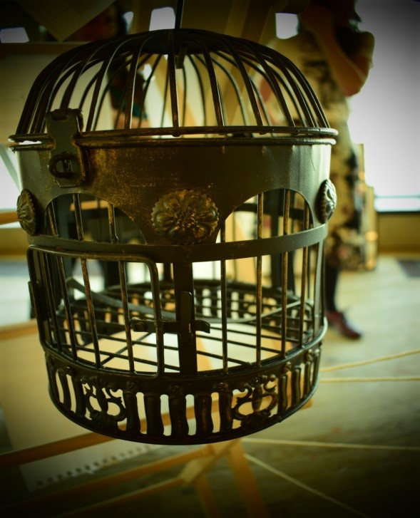 Photo of a bird cage