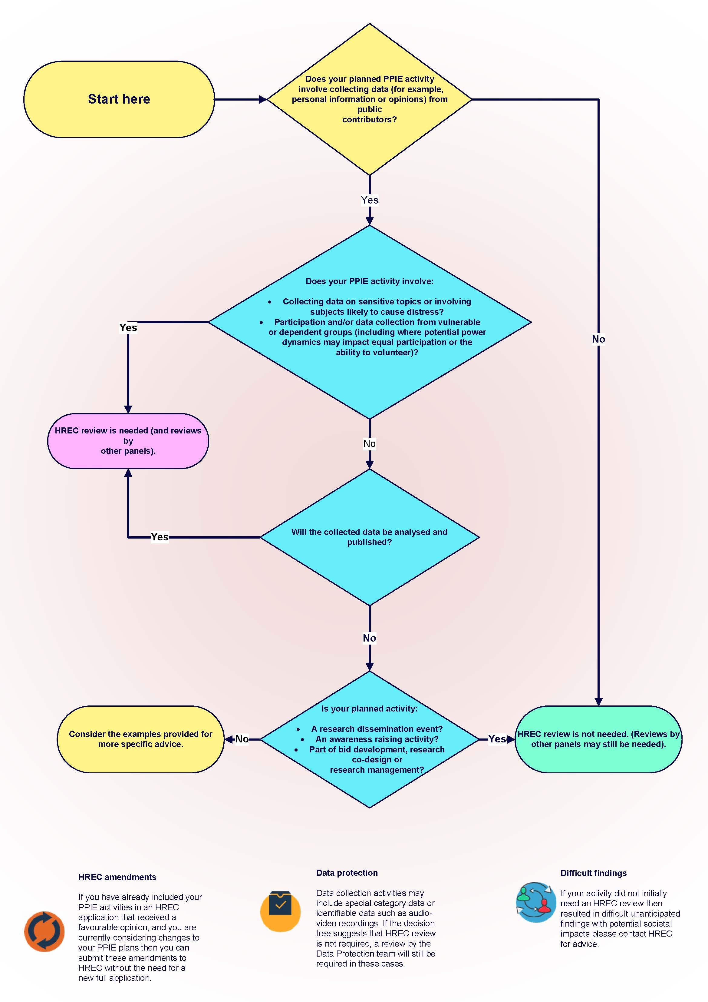 Flowchart describing process of PPIE activity