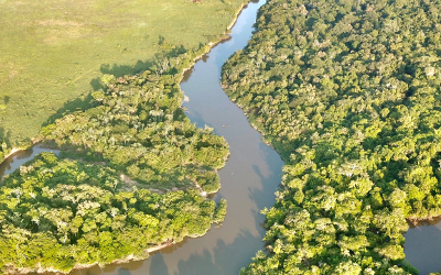 Arial shot of the Rupunini River weaving through the rainforest