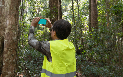 Man wearing a high viz jacket, measuring carbon in a forest
