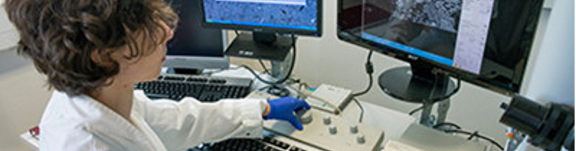 A person wearing a while lab coat and blue gloves, working on a computer