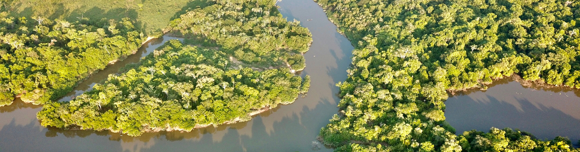 The River Rupununi, weaving through the rainforest