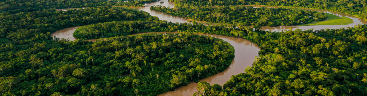 Aerial view of a river meandering through the Amazon forext