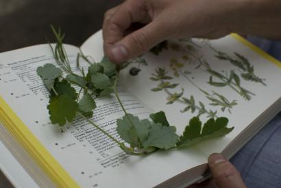 Community gardener and book - photo by Jan van Duppen