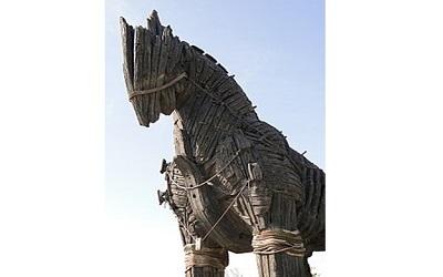 Photo of the horse art installation