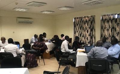 MIAG group discussions at their recent meeting in Ghana