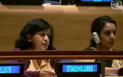 Professor Parvati Raghuram giving evidence to the UN