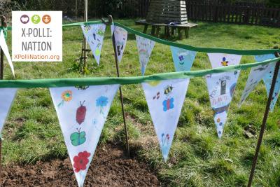 X-Polli:Nation logo and bunting