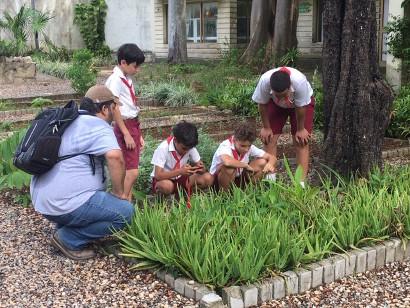 Children learning about growing vegetables