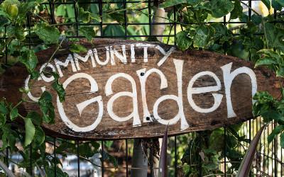 A wooden sign with the words 'community garden' on it against a backdrop of green leaves