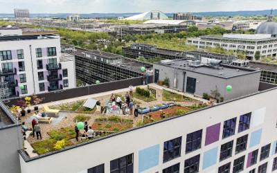 People on a green roof on top of a building, with buildings in the background