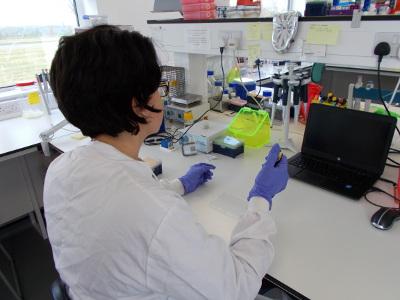 Judith Taylor working in a lab
