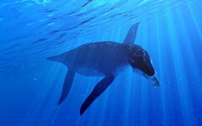 Liopleurodon