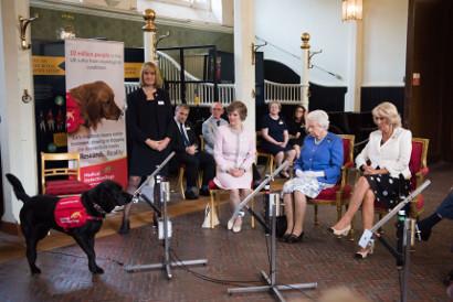 Demonstration at Buckingham Palace. (L-R) Claire Guest, CEO MDD; Betsy Duncan Smith, MDD Chairman of Trustees; Her Majesty The Queen; HRH Duchess of Cornwall