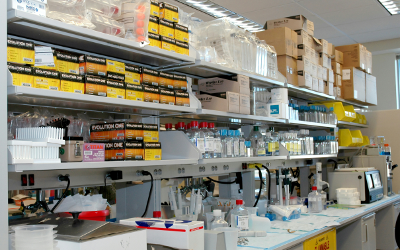 Shelves filled with boxes of medical supplies