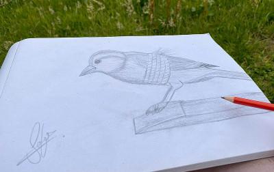 Tied bird: A drawing by a young asylum seeker from Pakistan