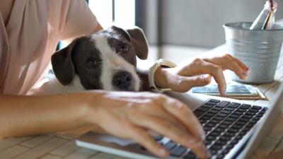 Woman working on a laptop with a dog