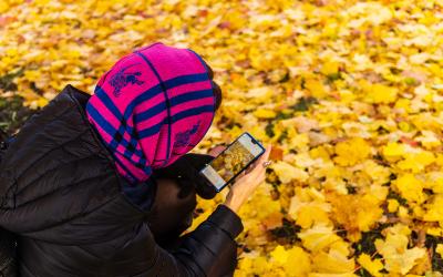 Person taking a photo of leaves with mobile phone