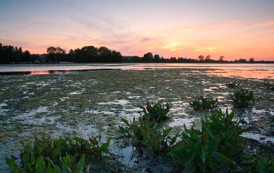 Evening flood plains of river Thames near Oxford