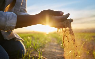 Person kneeling on the ground running soil through their fingers