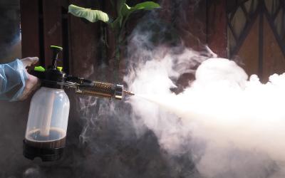 A person spraying insecticide fog