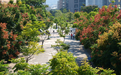 Buildings in the distance and trees in the foreground