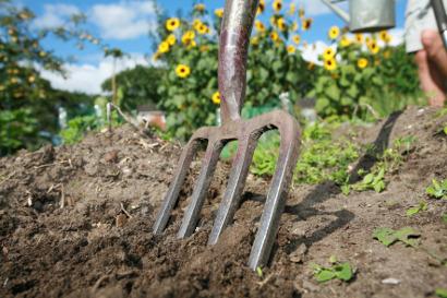 Shutterstock 309545528 Digging an allotment