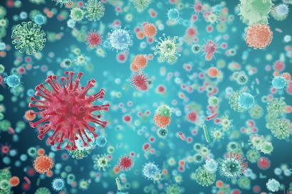 Shutterstock-559007341 Microbes