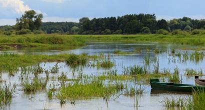 Floodplain meadow covered in water