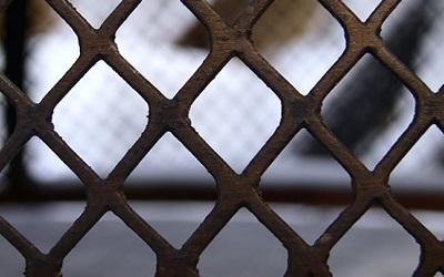 Photo of a fence